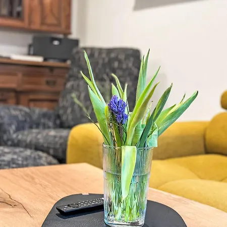 Schoenes In Neundorf Mit Grosser Terrasse By Interhome *
